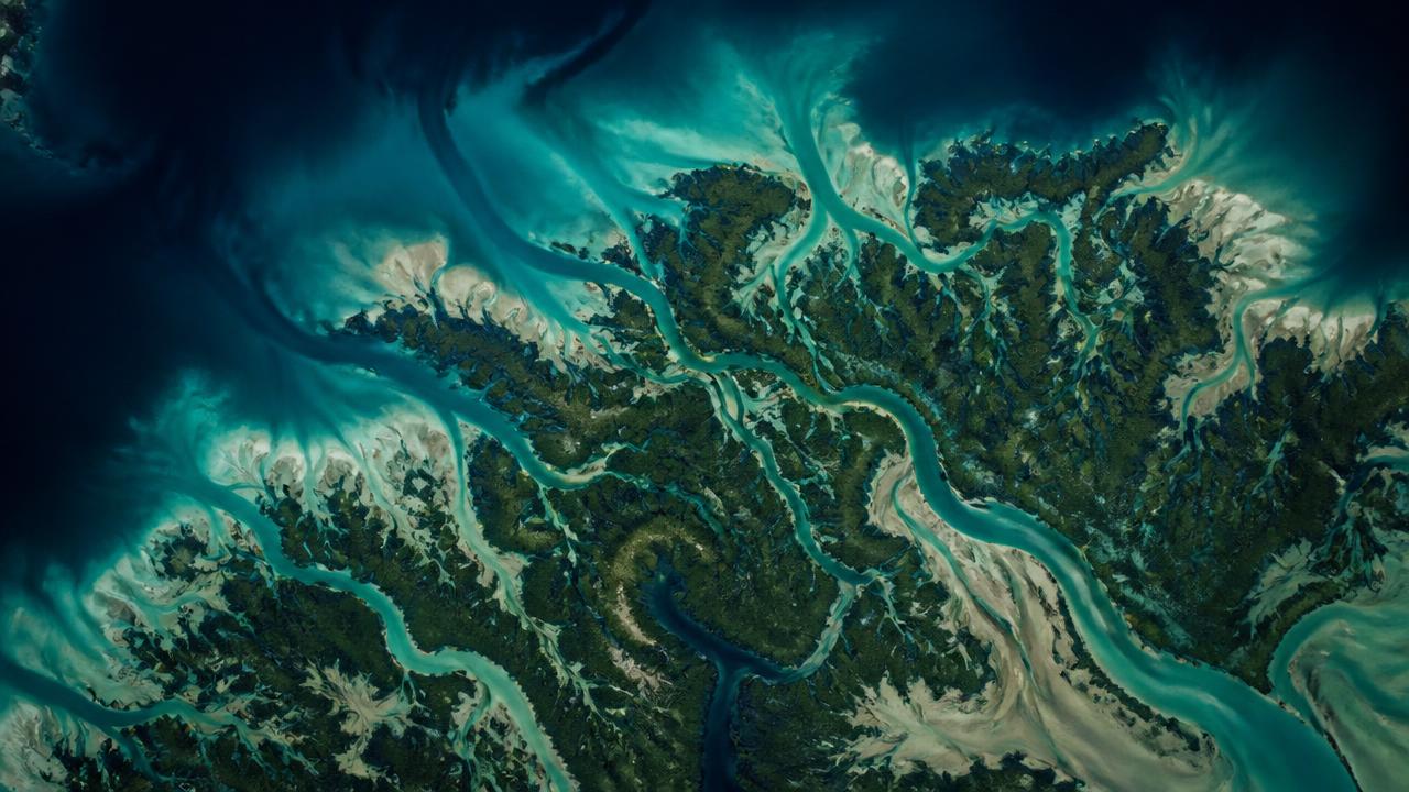 Aerial pattern of mangrove tidal channels around Marco Island